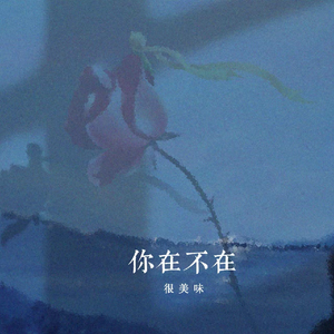 久久久欧美精品激情
