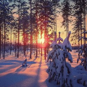 久久久欧美精品激情
