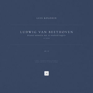 久久久欧美精品激情
