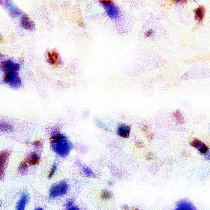 久久久欧美精品激情
